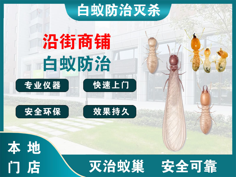 三门县沿街商铺白蚁防治