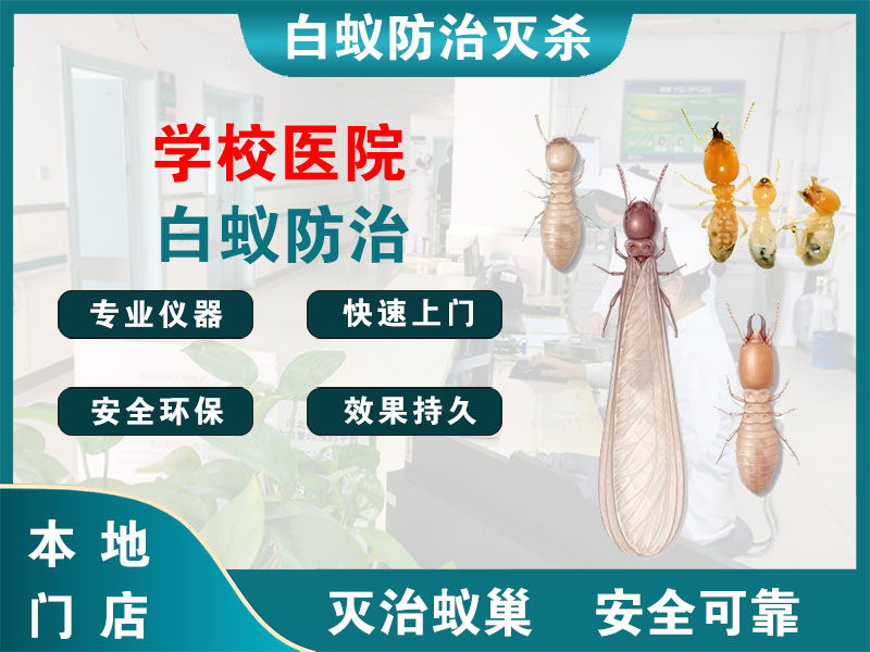 三门县学校医院白蚁防治
