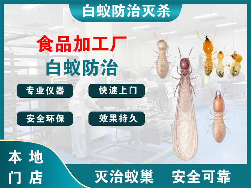 三门县食品加工厂白蚁防治