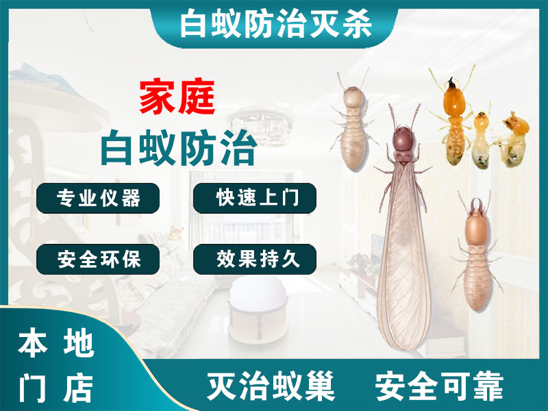 三门县家庭白蚁防治