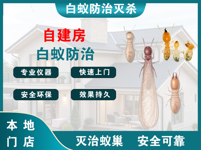 三门县自建房白蚁防治