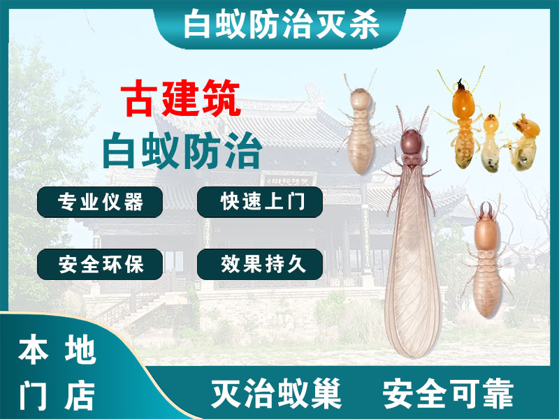 三门县古建筑白蚁防治