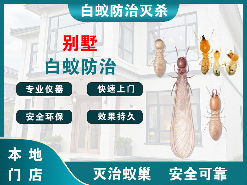 三门县别墅白蚁防治