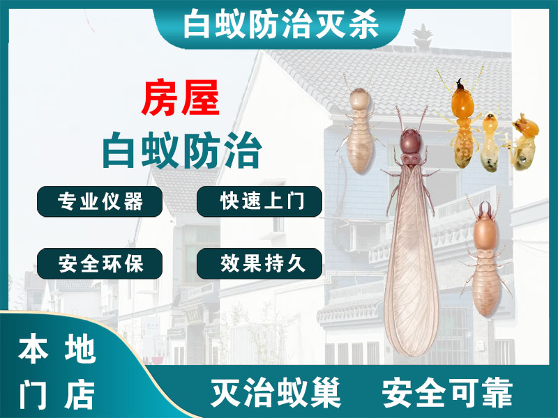 三门县房屋白蚁防治